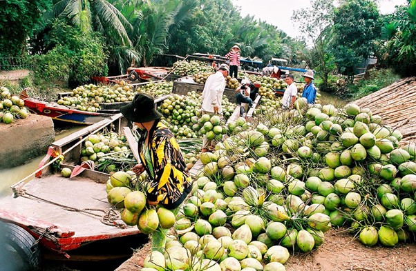 Lễ hội Dừa ở Bến Tre được tổ chức từ khi nào?