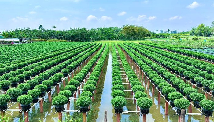 Di chuyển bằng xe du lịch để có trải nghiệm an toàn hơn