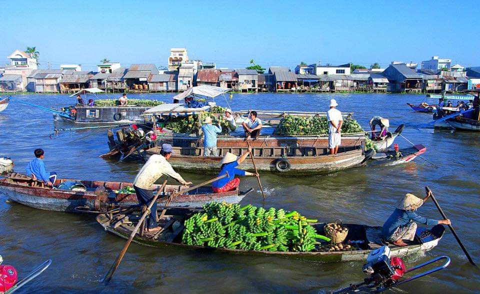 Thuê tàu đi chợ nổi Cái Răng Cần Thơ