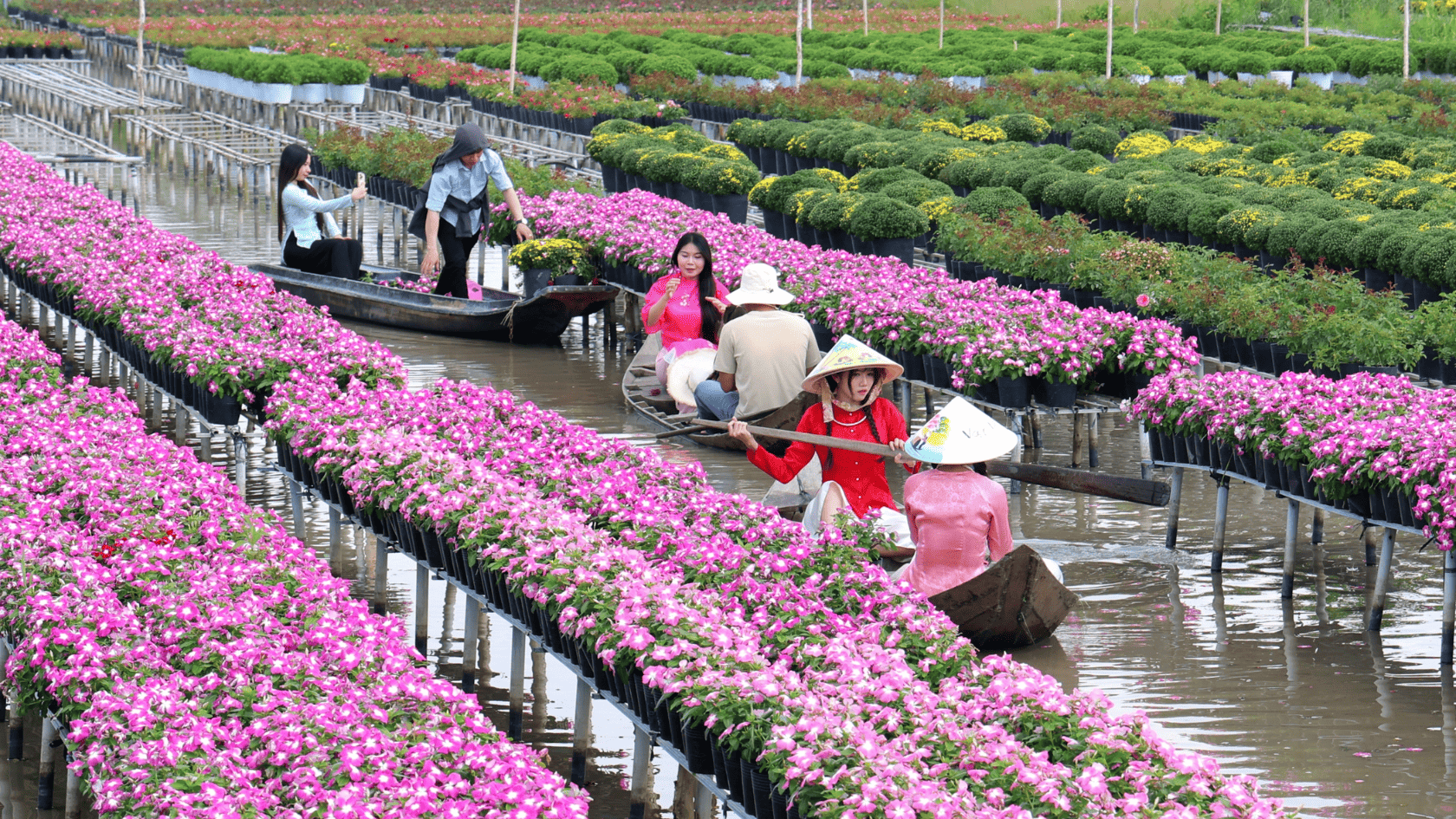 Kinh Nghiệm Du Lịch Miền Tây Tết 2026