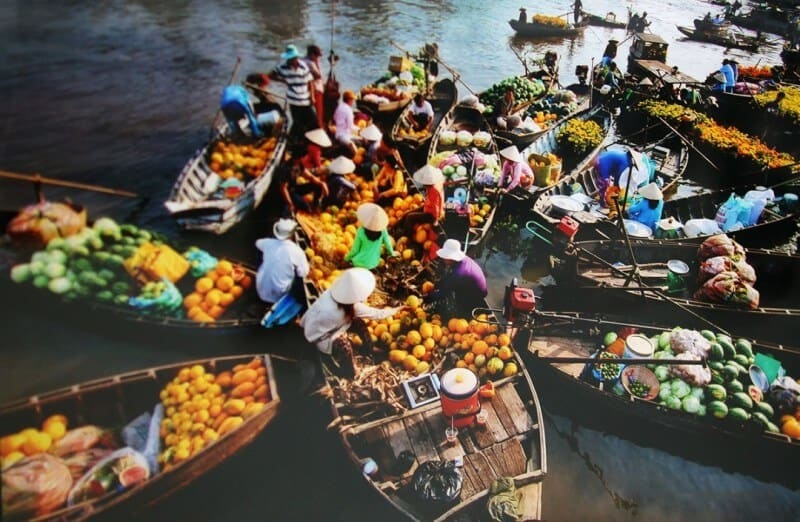 Thành Phố Hồ Chí Minh - Mỹ Tho - Chợ Nổi Cái Răng - Rừng Tràm Trà Sư - Miếu  Bà Châu Đốc